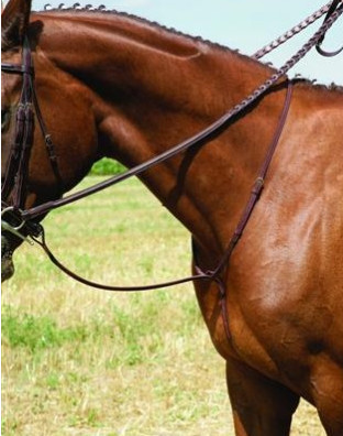 Vespucci Plain Raised Standing Martingale